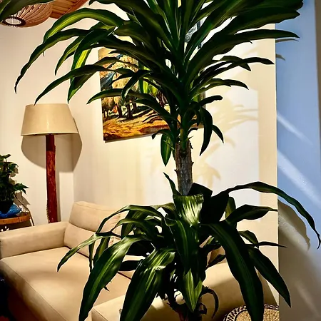 Casa vacanze Jasmine Stoúpa