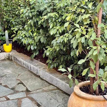 Jasmine Σπίτι διακοπών Στούπα